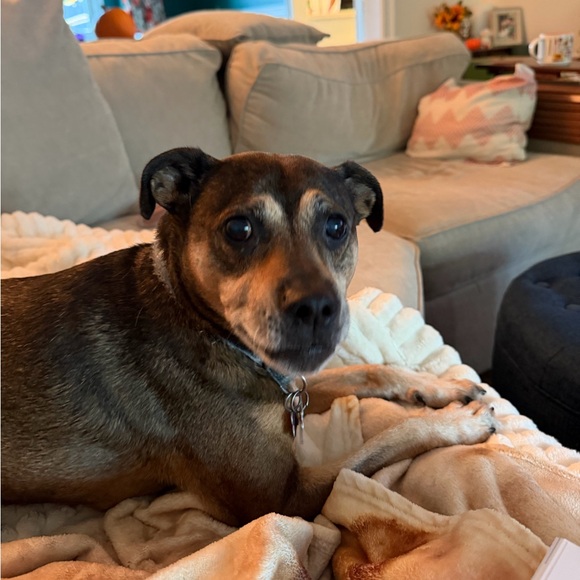 Meet your Posher, Andrea - Picture 2 of 2